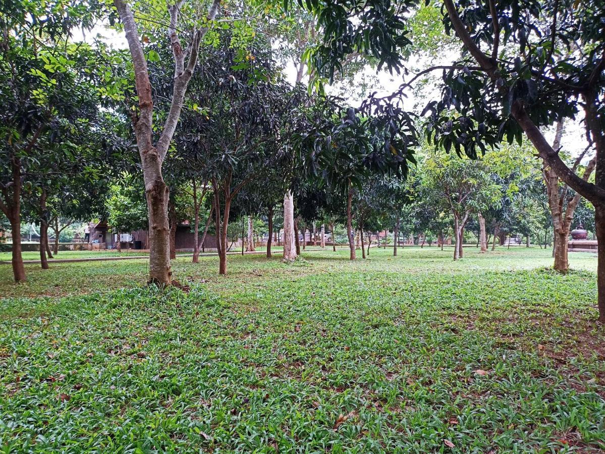 Kaveri Resort Sigiriya Exterior photo