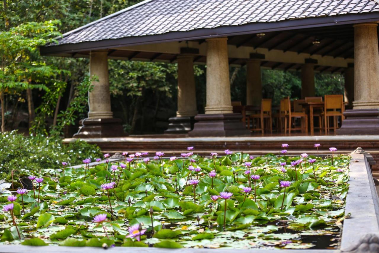 Kaveri Resort Sigiriya Exterior photo